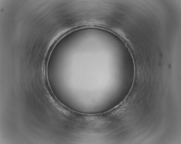 X0000067331032200604131655