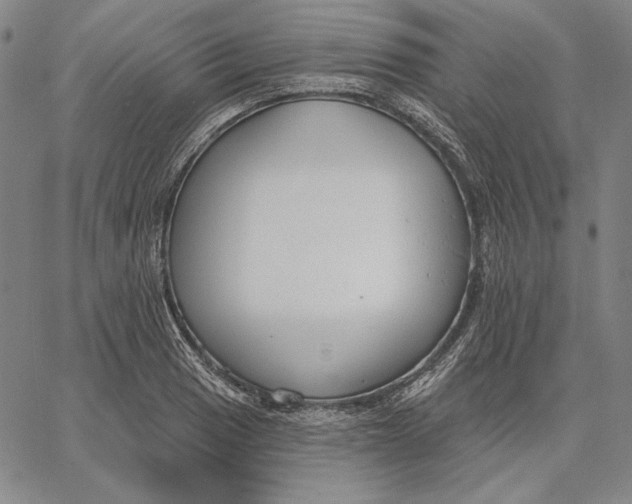 X0000067331033200604131655