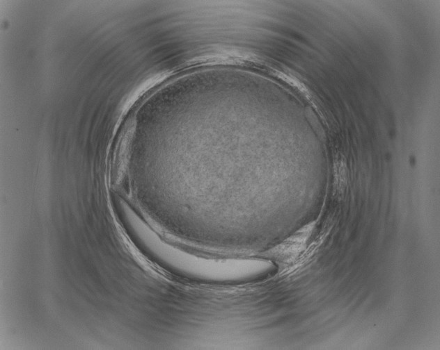 X0000067331034200604131655