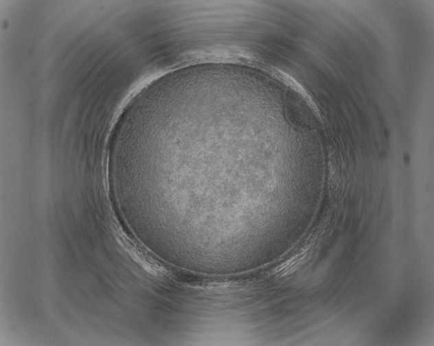 X0000067331035200604131655