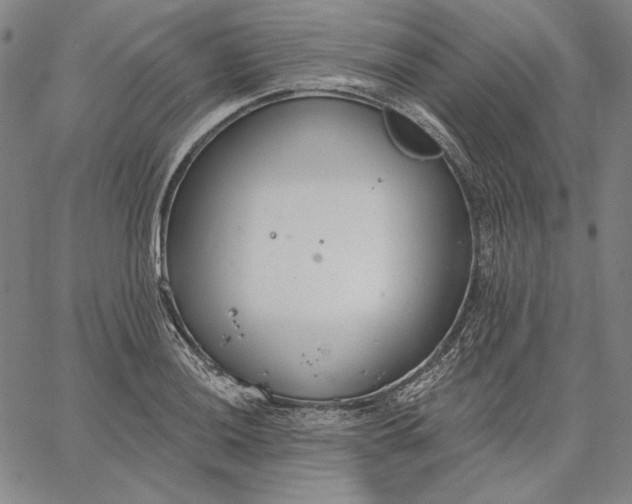 X0000067331036200604131655