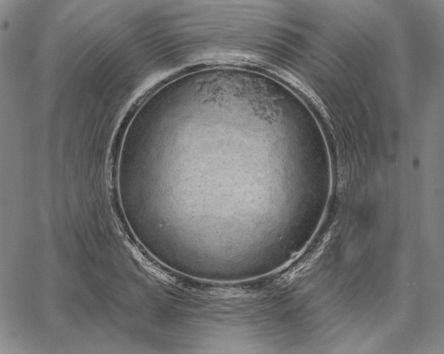 X0000067331037200604131655