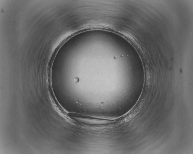 X0000067331038200604131655