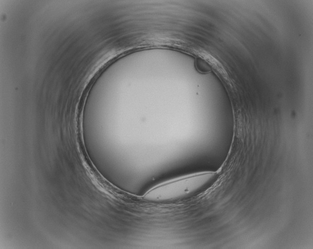 X0000067331039200604131655