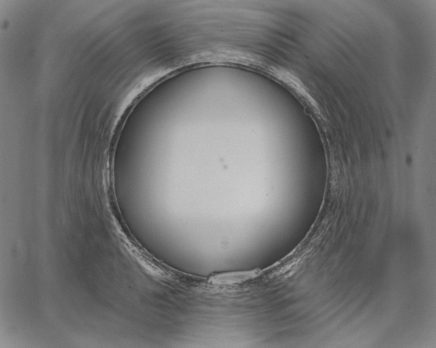 X0000067331040200604131655