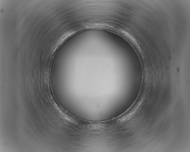 X0000067331041200604131655