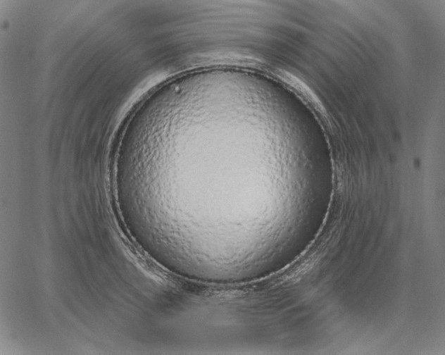 X0000067331043200604131655