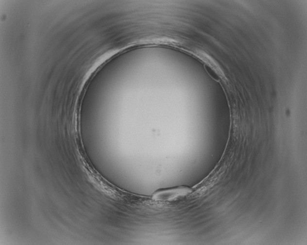 X0000067331044200604131656