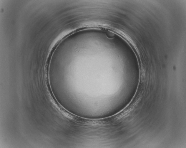 X0000067331045200604131656