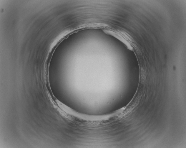 X0000067331046200604131656