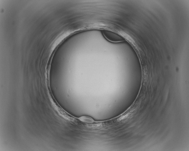 X0000067331047200604131656