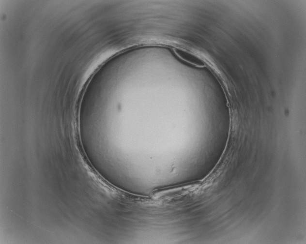 X0000067331048200604131656