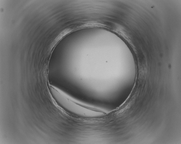 X0000067331049200604131656