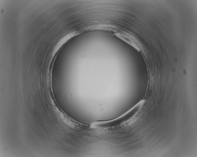 X0000067331050200604131656