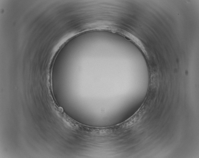 X0000067331051200604131656