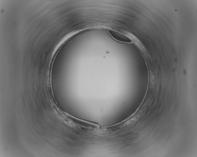 X0000067331052200604131656