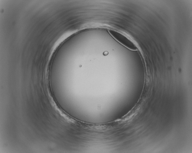 X0000067331053200604131656