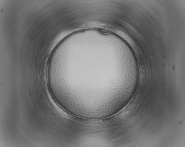 X0000067331055200604131656