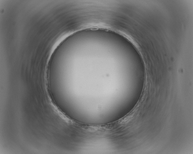 X0000067331056200604131656