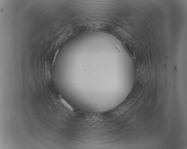 X0000067331058200604131655