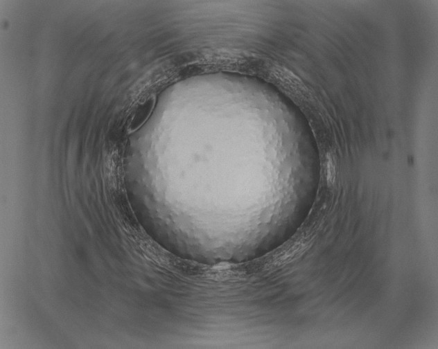 X0000067331059200604131655