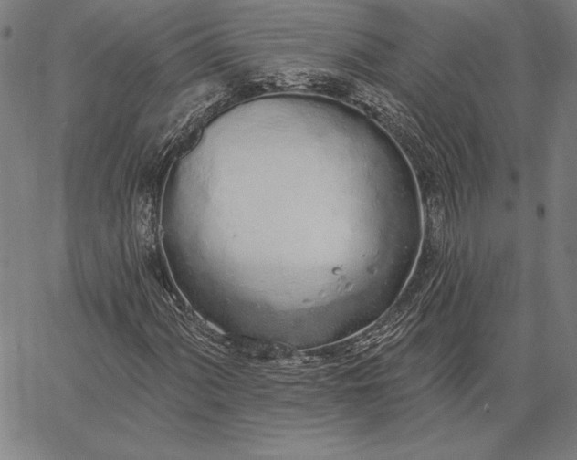 X0000067331060200604131655