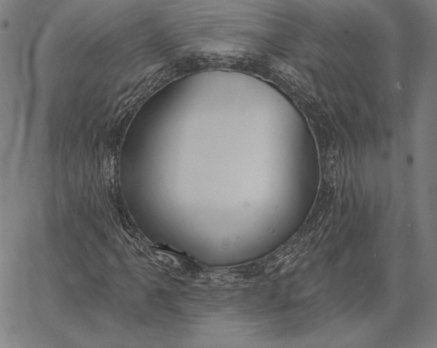 X0000067331061200604131655