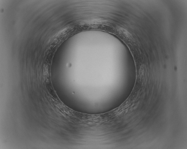 X0000067331062200604131655