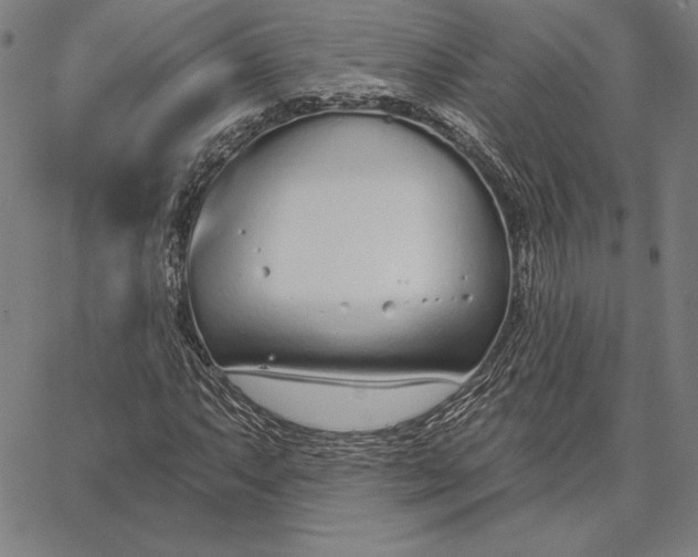 X0000067331063200604131655