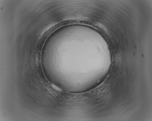 X0000067331064200604131655