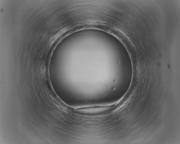 X0000067331065200604131655