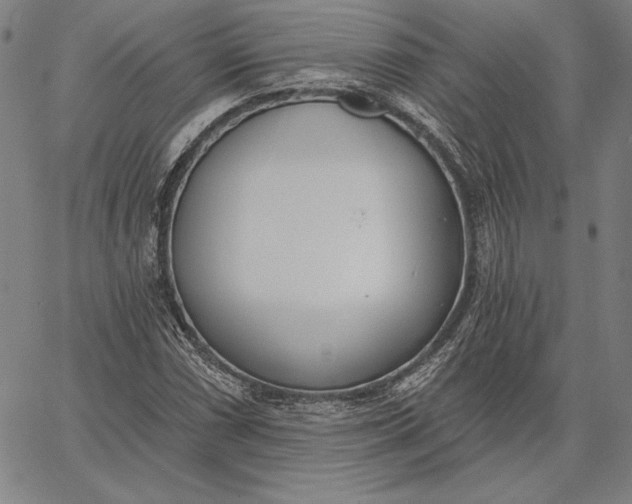 X0000067331066200604131655