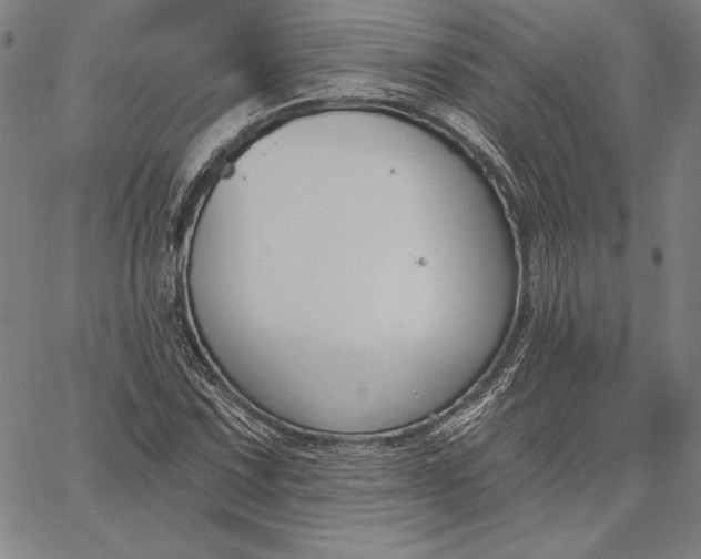 X0000067331067200604131655