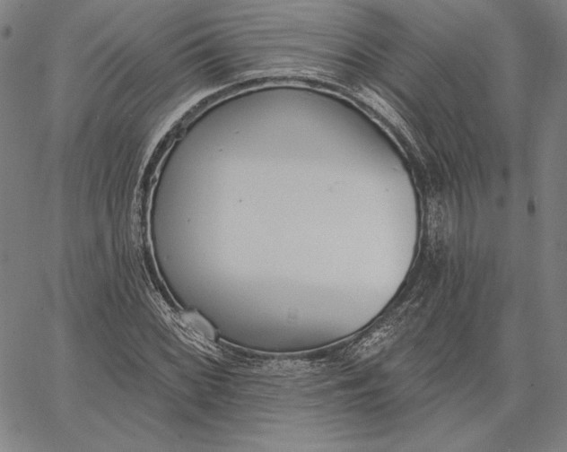 X0000067331068200604131655