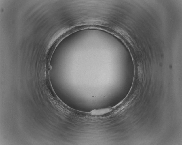 X0000067331069200604131655