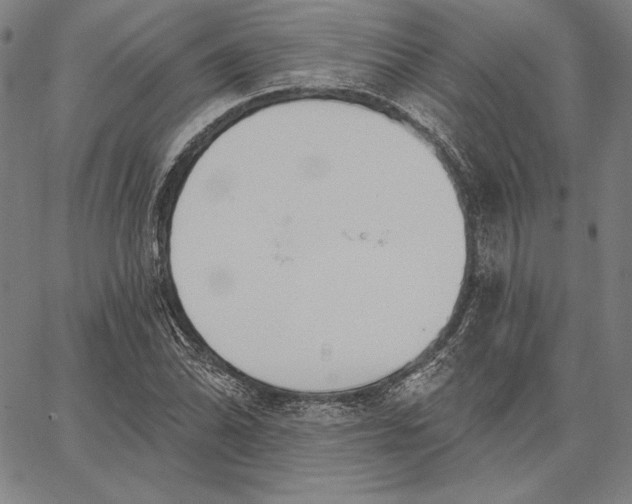 X0000067331070200604131655