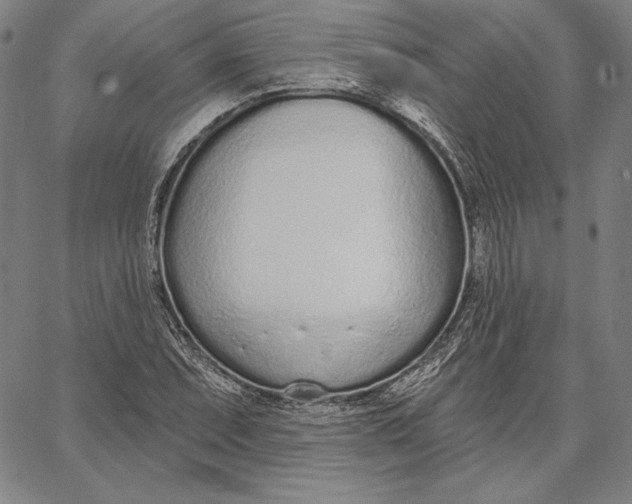 X0000067331071200604131655