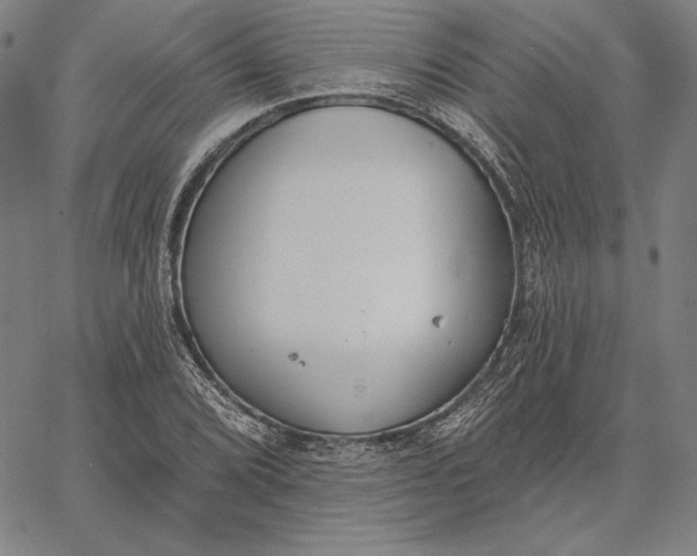 X0000067331072200604131655