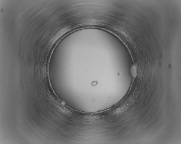 X0000067331073200604131655