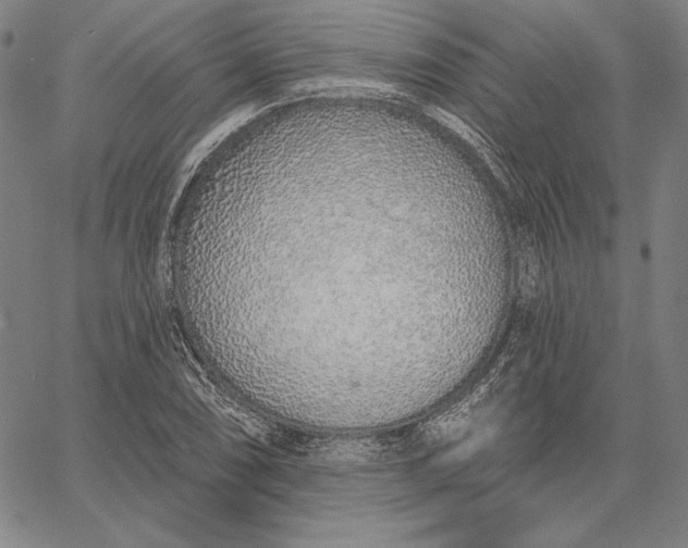 X0000067331074200604131655