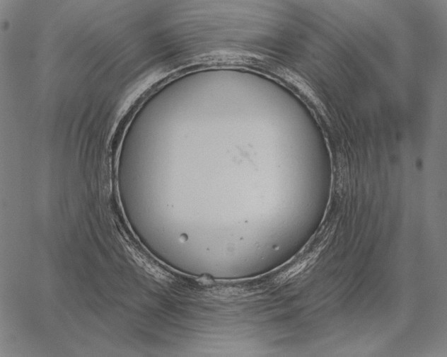 X0000067331075200604131655