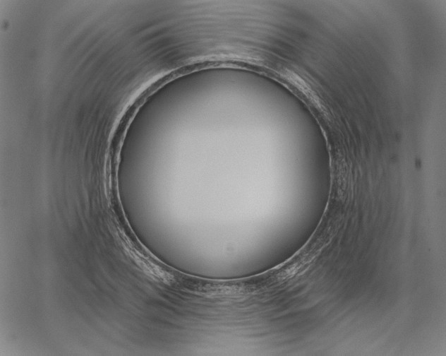 X0000067331076200604131655