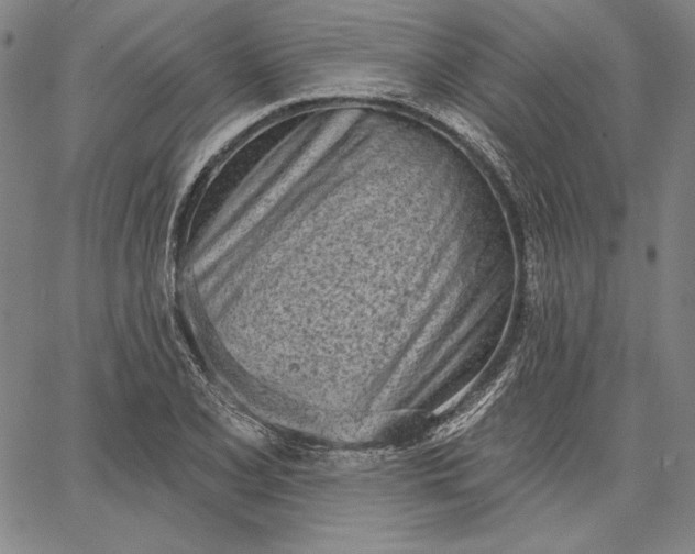 X0000067331077200604131655