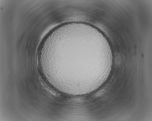 X0000067331078200604131655