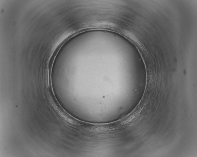 X0000067331079200604131655