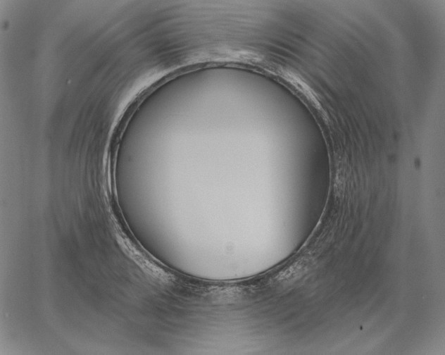 X0000067331080200604131655