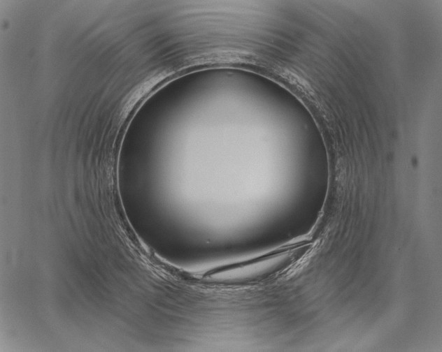 X0000067331081200604131655