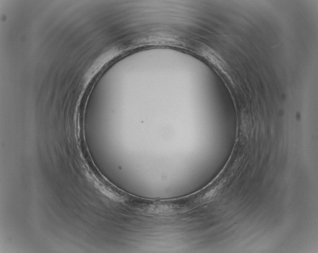 X0000067331082200604131655