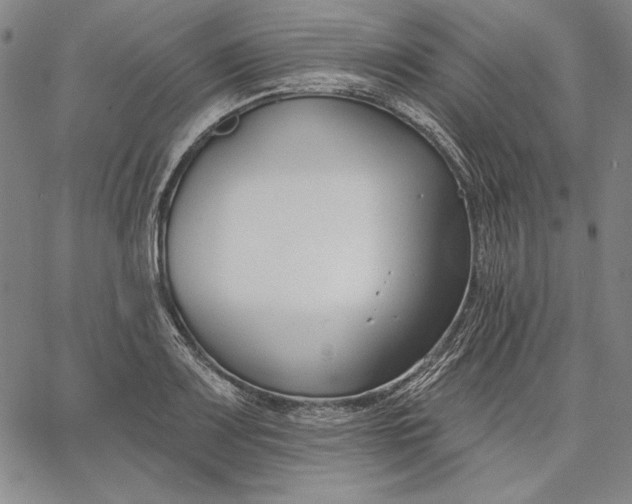 X0000067331083200604131655