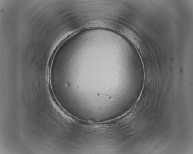 X0000067331084200604131655